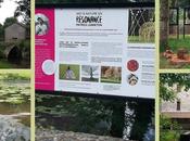 pont aventures enfance