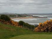 Royaume choisit grand large