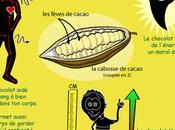 bienfaits chocolat sante