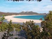 Pacaud père fils Murtoli