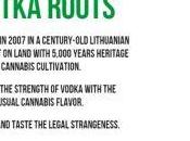 SHOTKA l’explosif mélange vodka cannabis