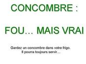 Divers Concombre ...fou....