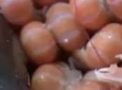 Consommation produit l'été, c'est langoustine