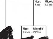 MICROBIOME ÉVOLUTION: millions d'années symbiose entre nous microbes Science