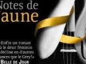 Eighty Days, tome notes jaune