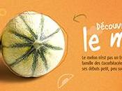 [Podcast] ‘Françoise vous parle Saveurs’ Melon, légume l’été