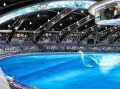 Tokyo s’offrent nouvelles disciplines