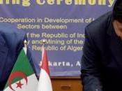 Algérie-Indonésie: mémorandum d’entente dans secteur industriel