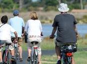 Charente-Maritime l’été, l’île rayonne souffre