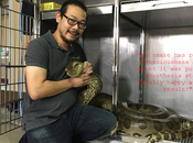 Pathum Thani Anaconda operé coeur ouvert, magnifique