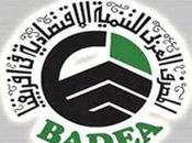 Banque arabe développement économique Afrique (BADEA) l’assaut investisseurs arabes