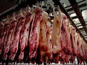 Tiens, passe drôles choses moment fabriquer bonbons