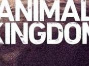 Animal Kingdom, famille l’état sauvage