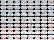 partir maintenant, climato-sceptiques sont bons pour fosse