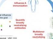 GRIPPE: Toujours piste vaccin universel Cell