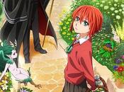 L’animé Ancient Magus Bride chez Crunchyroll