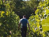 ENTRE VIGNES, Conversations libres avec vigneronnes vignerons BourgogneGuillaume Laroche