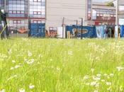 Ouverture co-gestion l'Espace Imaginaire