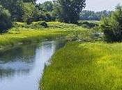 Parc national îles-de-Bouchervile