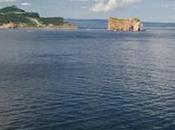 Parc national l’Île-Bonaventure-et-du-Rocher-Percé