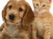 Chronique affaires: structure adéquate