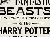 Exposition Graphic Fantastic Beasts &amp; Where Find Them Harry Potter Films