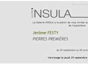 Galerie INSULA exposition Jérôme FESTY Pierres Premières Septembre 0ctobre 2016