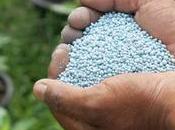 Vers famine planétaire