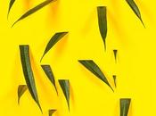 portfolio polychromatique Rawcolor