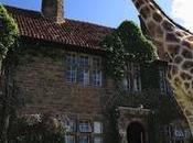 EVASION manoir girafes, Kenya