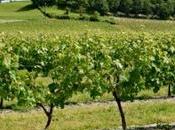 Nouvelle-Aquitaine lance plan régional pour réduire durablement l’utilisation pesticides dans l’agriculture.
