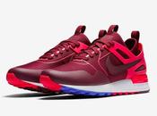 Nike Pegasus Tech Night Maroon