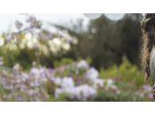 [Critique] (bouleversante) entre deux océans