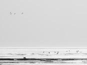 Découvrez quel photographe vous êtes Autonome Dépendant