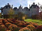 [Podcast] ‘Les Conseils Jardin Françoise’ Chrysanthème Cheverny