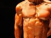 protéines pour maximiser gain masse musculaire