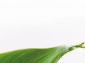 Nature CM-CIC Investissement, rencontre engagée nature