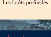 forêts profondes Adrien Absolu