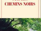 Lecture Sylvain Tesson chemins noirs