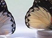 avis Beautiful Redemption Jamie McGuire