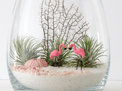Slow Life joli terrarium