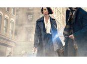 [Critique] Animaux Fantastiques (mais vraiment)