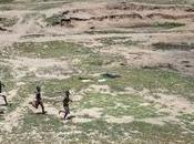 Alerte érosion l’Afrique s’effrite terres s’appauvrissent dangereusement