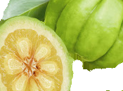 fruit Garcinia Cambogia: bienfaits pour perte poids