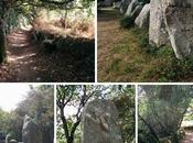 L’alignement menhirs Kerzerho Erdeven