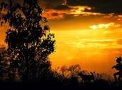 Paysage politique atrophié réclame bouffée d’air pur.