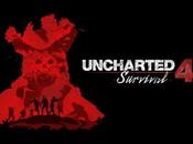 Survival Mode d’Uncharted