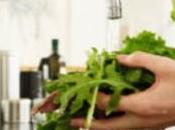 INTOXICATIONS ALIMENTAIRES: Eviter salade toute prête pour éviter Salmonelle Applied Environmental Microbiology