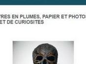 Galerie Géraldine BANIER oeuvres plumes ,papier photos pour cabinet curiosités