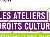 FORMATION ateliers droits culturels